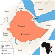 Shiferaw Dukale - Natural Sundried